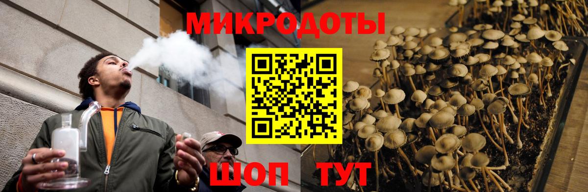 Железногорск  Псилоцибиновые грибы мицелий  Вход с VPN 